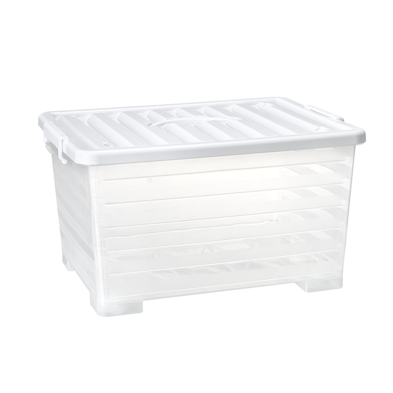 Transparent storage box 